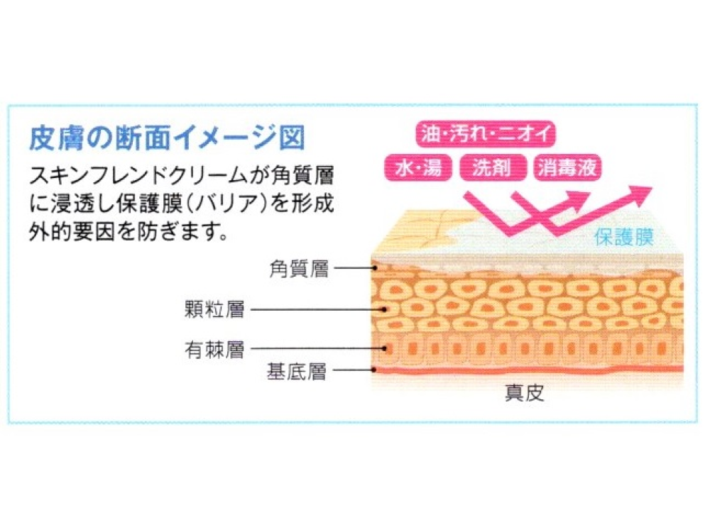 スキンフレンドクリーム